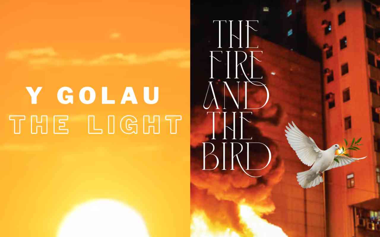 Dragons at The Welfare Ystradgynlais.land